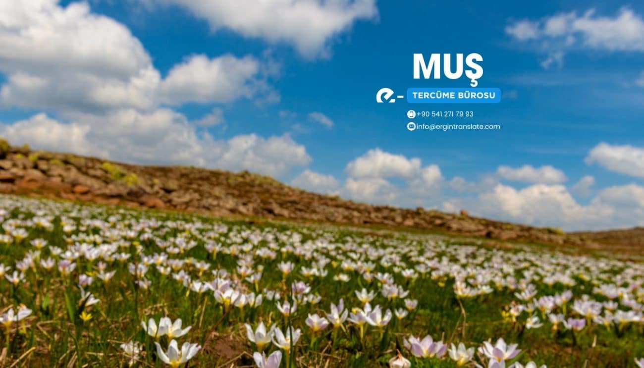 Muş Tercüme Bürosu