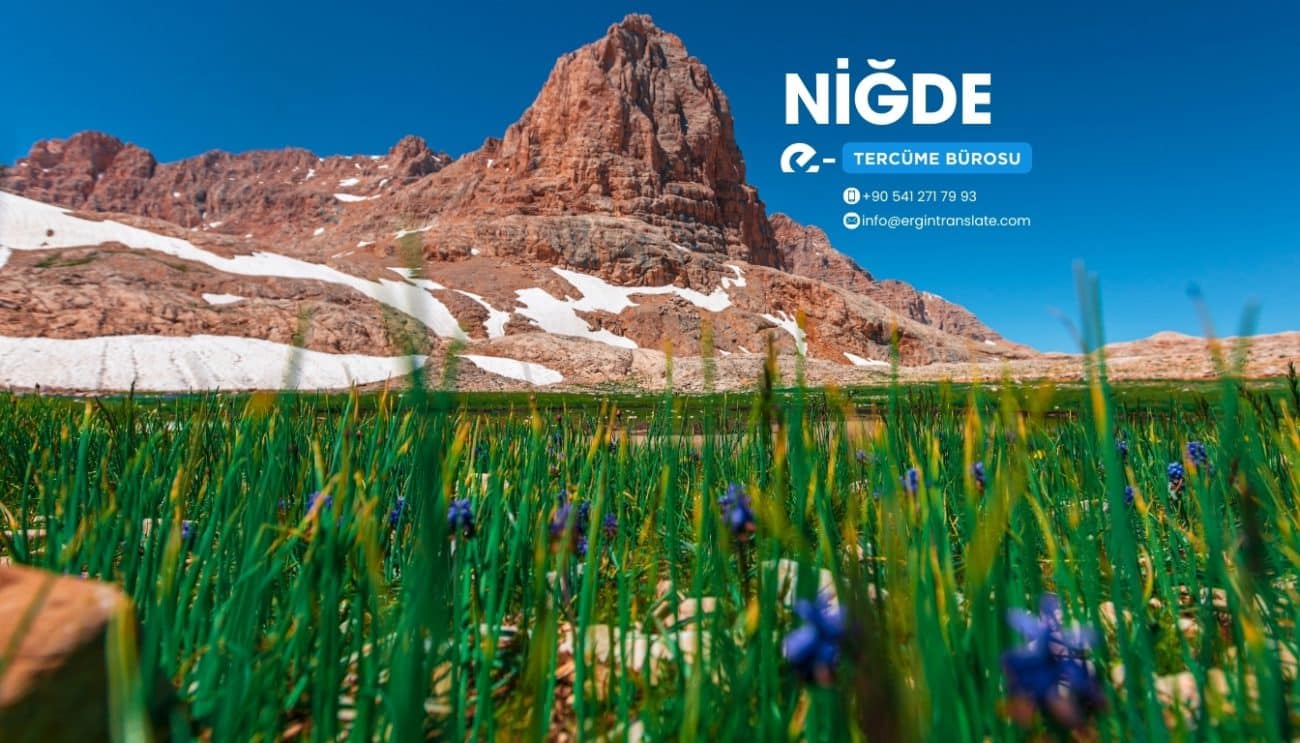 Niğde Tercüme Bürosu